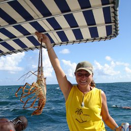 ���� �����, ���������, 58 ��� - ��������� 8 ���� 2010