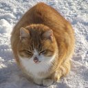 ��� �����... :-) �� ������� ����� 2010�