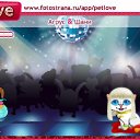 ���� ������, ������, 41 ��� - ��������� 8 ������ 2010 � ������ �PetLove�