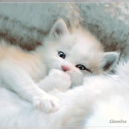 ���� �����, ��������� - ��������� 16 �������� 2012