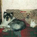 ���� ��, ��������, 59 ��� - ��������� 28 ������ 2009 � ������ ���� ���������