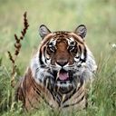 ���� ������, ������, 46 ��� - ��������� 7 �������� 2011