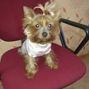 �����! �� ������� ���� ������