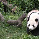 ���� ���������, ����������, 35 ��� - ��������� 12 ������ 2011 � ������ ������� ��������:)�