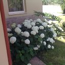 ���� ���������, ����, 65 ��� - ��������� 28 ���� 2012 � ������ �����