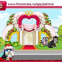  , , 84  -  8  2010   PetLove