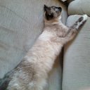  , -, 61  -  19  2011   