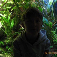 ��������, ������-��-����, 22 ����