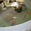 ���� ������, ��������� - ��������� 7 �������� 2012 � ������ ���������� "��������� �������"�
