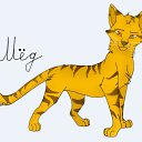 ���� �����, ������ - ��������� 31 ������� 2012 � ������ �PetLove�