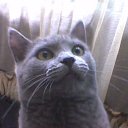 ���� �������, �������� - ��������� 3 ������ 2012 � ������ �������