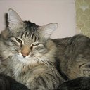 ���� ����, ��������, 50 ��� - ��������� 17 ������� 2009 � ������ ���, ��� � ���� �����...�