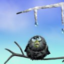 ���� ����, ���������, 41 ��� - ��������� 23 ���� 2013 � ������ ���� ����������