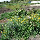 ���� ������, ������, 69 ��� - ��������� 25 ������� 2012 � ������ �������