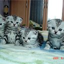 ���� *~N@sten@~*, ����������, 23 ���� - ��������� 19 ������� 2011