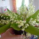  a, , 64  -  21  2012   