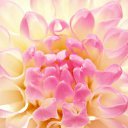 ���� ����� - ���������� ��������!!!, �����������, 56 ��� - ��������� 11 ������ 2010 � ������ ����������