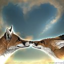 ���� &dagger;���� Wolfa ������&dagger;, ������ ��������, 27 ��� - ��������� 8 ������ 2010 � ������ ������