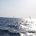 ���� �����, ������, 61 ��� - ��������� 19 ���� 2012 � ������ ���� ����������