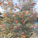  ,  -  22  2012   * ..*