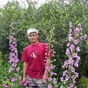 ���� ����������, ������������ - ��������� 8 ������ 2012 � ������ ���� ����������