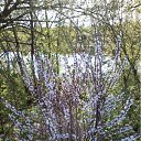 ����� ;-) �� ������� ���� ����������