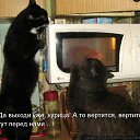 ���� �����, �����-���������, 26 ��� - ��������� 2 ������� 2011 � ������ ������