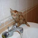 ���� Ninon, ���� - ��������� 20 ������� 2009 � ������ ����������� ����Ȼ