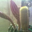 ���� ����, ��������, 85 ��� - ��������� 10 ���� 2012