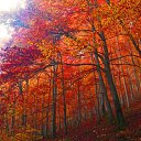 ���� �����, ����� - ��������� 24 ������ 2010 � ������ ��������