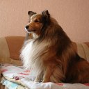 ���� ����, ������, 58 ��� - ��������� 17 ������� 2012 � ������ ���� ����������