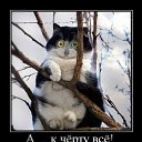 ���� Andrei, ���������, 56 ��� - ��������� 21 ������ 2012 � ������ ���� ����������