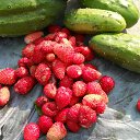 ���� �����, ������ - ��������� 18 ����� 2012 � ������ ���� ����������