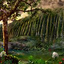 ���� �����, ����� - ��������� 24 ������ 2010 � ������ ��������