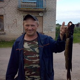 �����, �����-���������, 59 ���