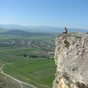 ���� ������, �������, 37 ��� - ��������� 22 ��� 2012 � ������ ���� ����������