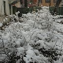 ���� �.�., ������, 46 ��� - ��������� 24 ������ 2010