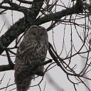  , , 45  -  22  2009   .