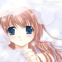 ������, ������, 51 ���