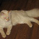 ���� ������, ������, 46 ��� - ��������� 1 ������ 2012 � ������ ���� ����������