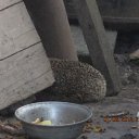  , -, 57  -  4  2012      !!!