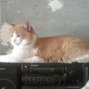���� Ivan, ������ �������� - ��������� 4 ������� 2013 � ������ ���� ����������