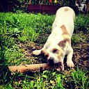 ���� Leonid, �����-���������, 39 ��� - ��������� 16 ������� 2012 � ������ ������