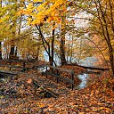 ���� �����, ����� - ��������� 29 ������ 2013 � ������ ����� �� ������� ���˻