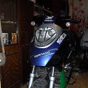 ���� �����, ������, 44 ���� - ��������� 13 �������� 2012 � ������ �������