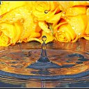 ���� ������, ������, 34 ���� - ��������� 26 ��� 2010 � ������ ����� � ��������