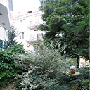 ���� ��������, ������������� - ��������� 3 ���� 2012 � ������ ������ 2012)))�