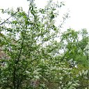 ���� ���� ����, ����������, 50 ��� - ��������� 19 ����� 2010 � ������ ������-2009�