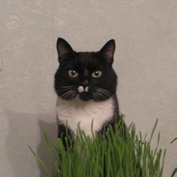 ���� ����, �����������, 75 ��� - ��������� 28 �������� 2011