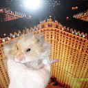 ���� ������ :3, ������, 23 ���� - ��������� 3 �������� 2010 � ������ ���� ����������